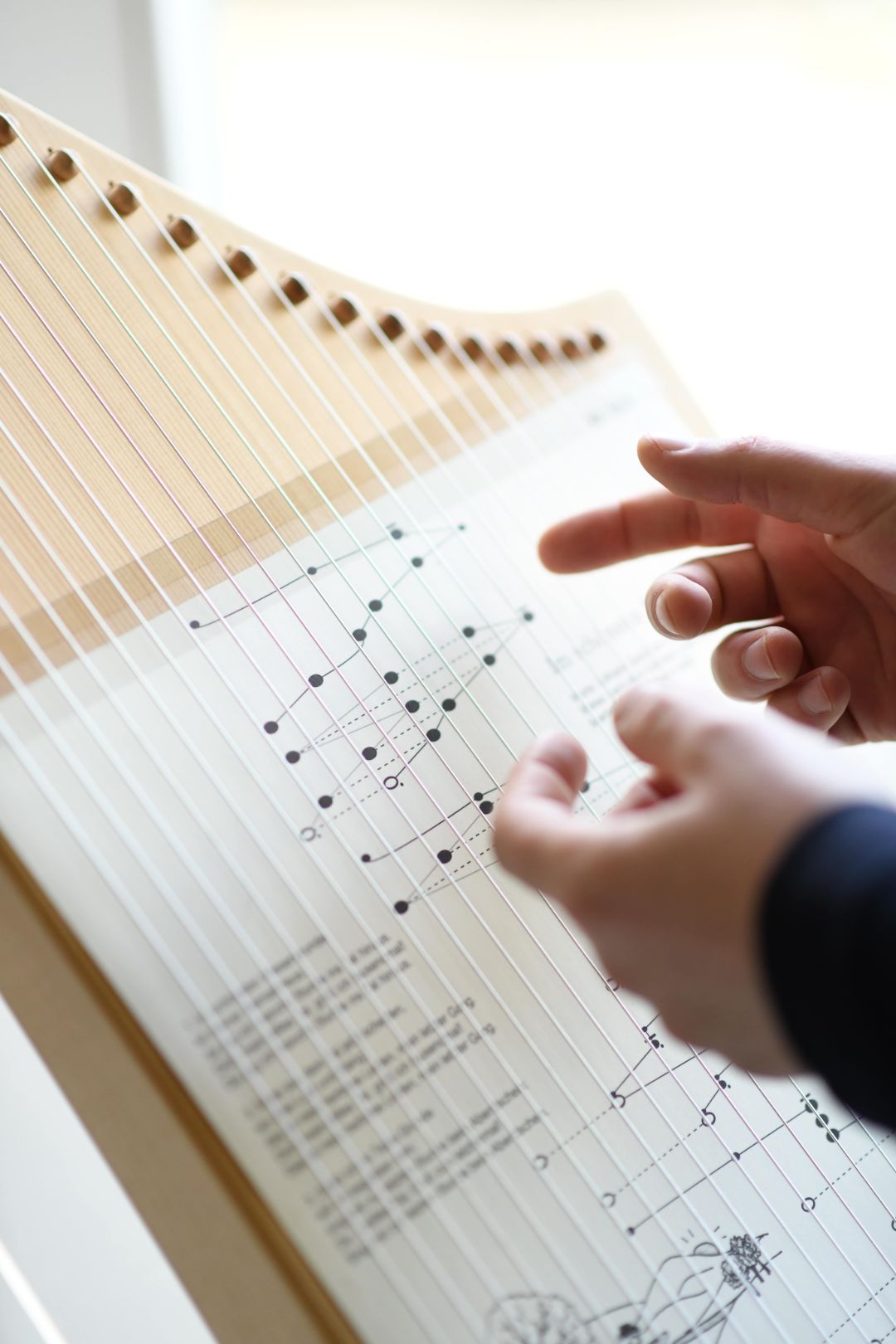 Veeh-Harfe spielen lernen mit Agnes Pritz